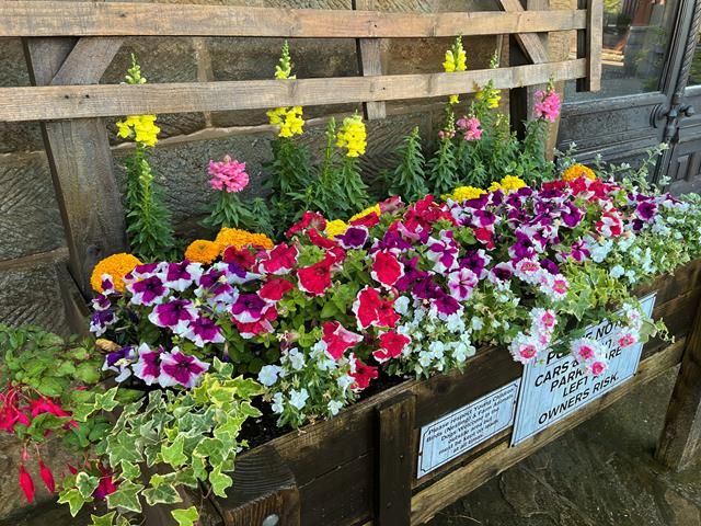 commercial-hanging-baskets (6)-kireth-ai
